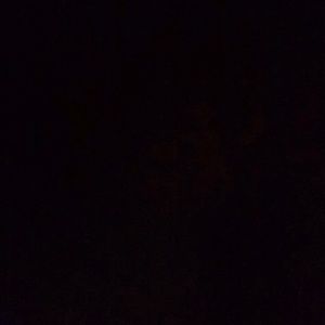 Meet your Posher, Joan